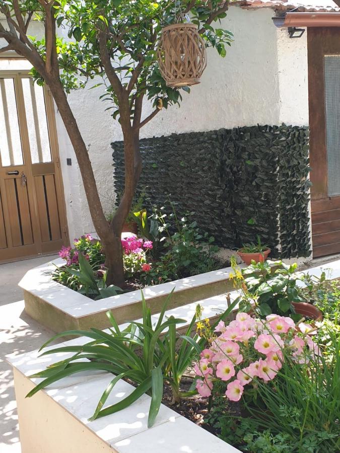 Casa vacanze con giardino e area barbecue Martis Esterno foto